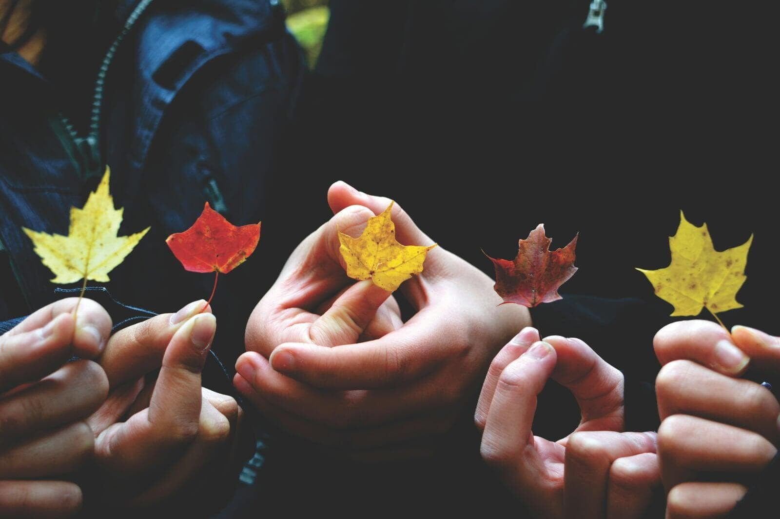 5 tips voor een gezonde leefomgeving met citizen science